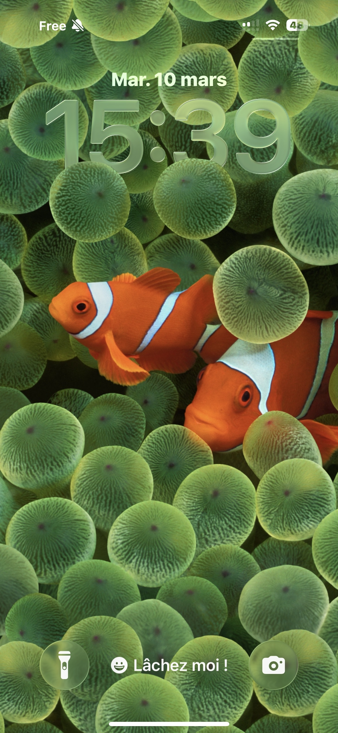 Écran de veille téléphone